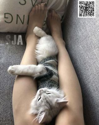 月与雷_在线完整观看