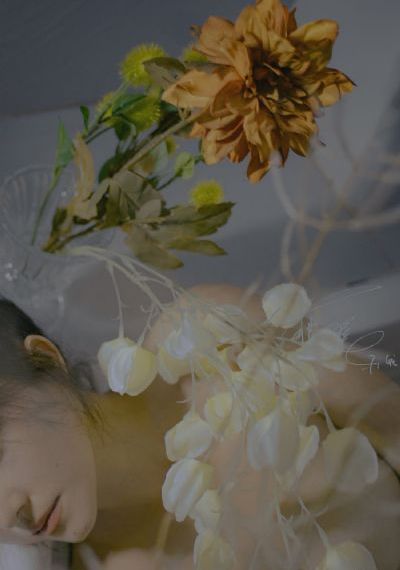 拔萝卜高清在线观看_BD高清电影在线