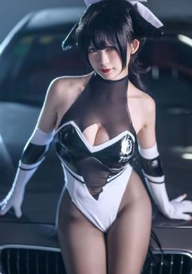 95版包青天吕良伟国语版_DVD在线视频播放